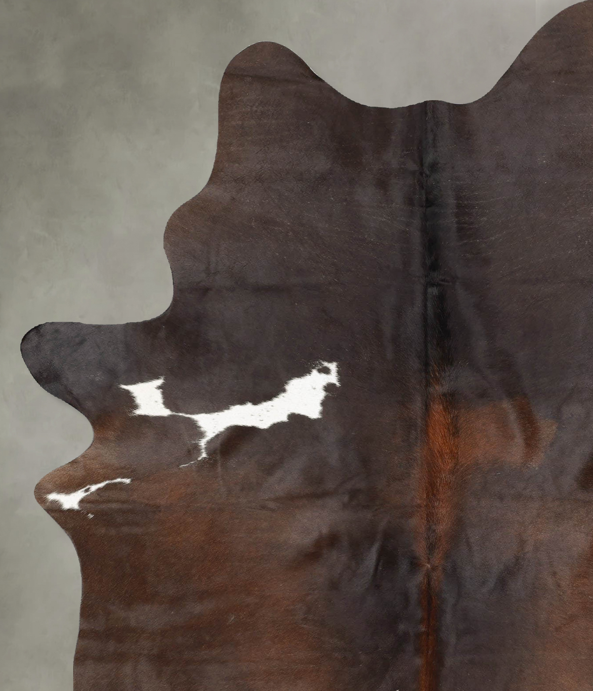 Chocolate and White X-Large Brazilian Cowhide Rug 7'10"H x 5'3"W #B30495 by Hudson Hides