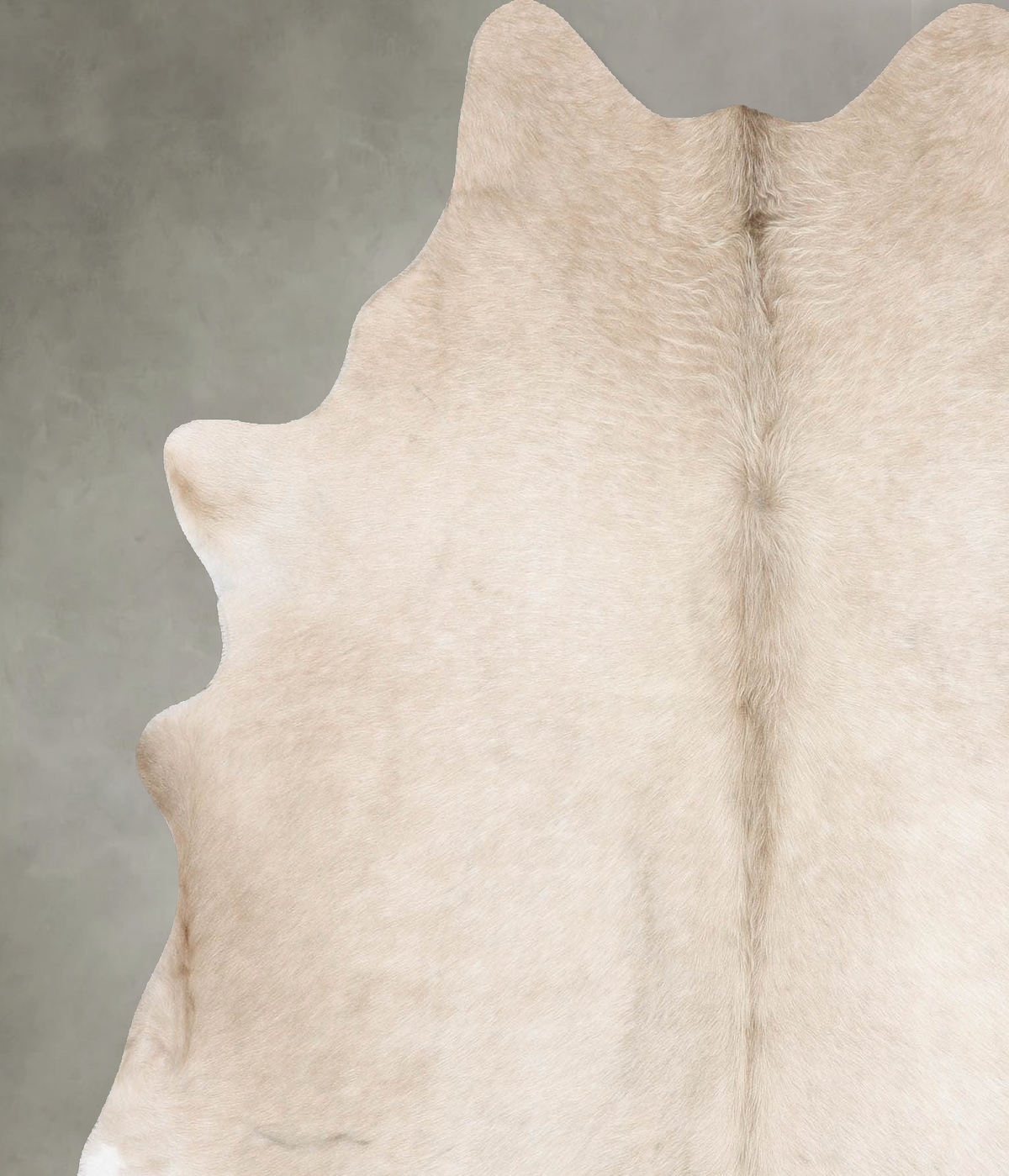 Champagne Large Brazilian Cowhide Rug 6'6"H x 6'0"W #B30496 by Hudson Hides