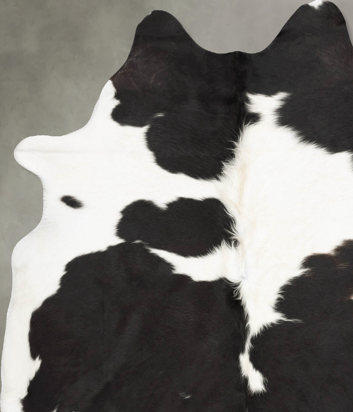 Black and White X-Large Brazilian Cowhide Rug 7'6"H x 5'9"W #B30499 by Hudson Hides