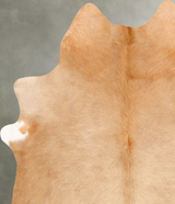 Beige Large Brazilian Cowhide Rug 6'3"H x 5'3"W #B30502 by Hudson Hides