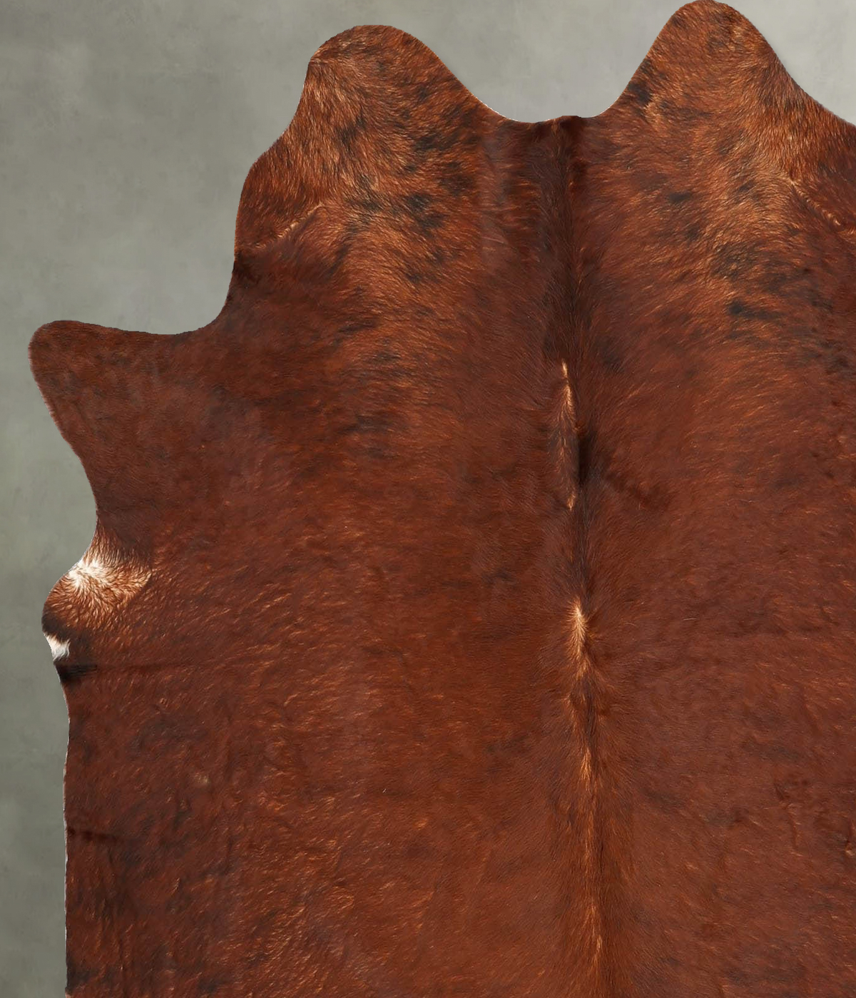Medium Brindle Large Brazilian Cowhide Rug 6'3"H x 5'5"W #B30503 by Hudson Hides
