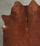 Medium Brindle Large Brazilian Cowhide Rug 6'3"H x 5'5"W #B30503 by Hudson Hides