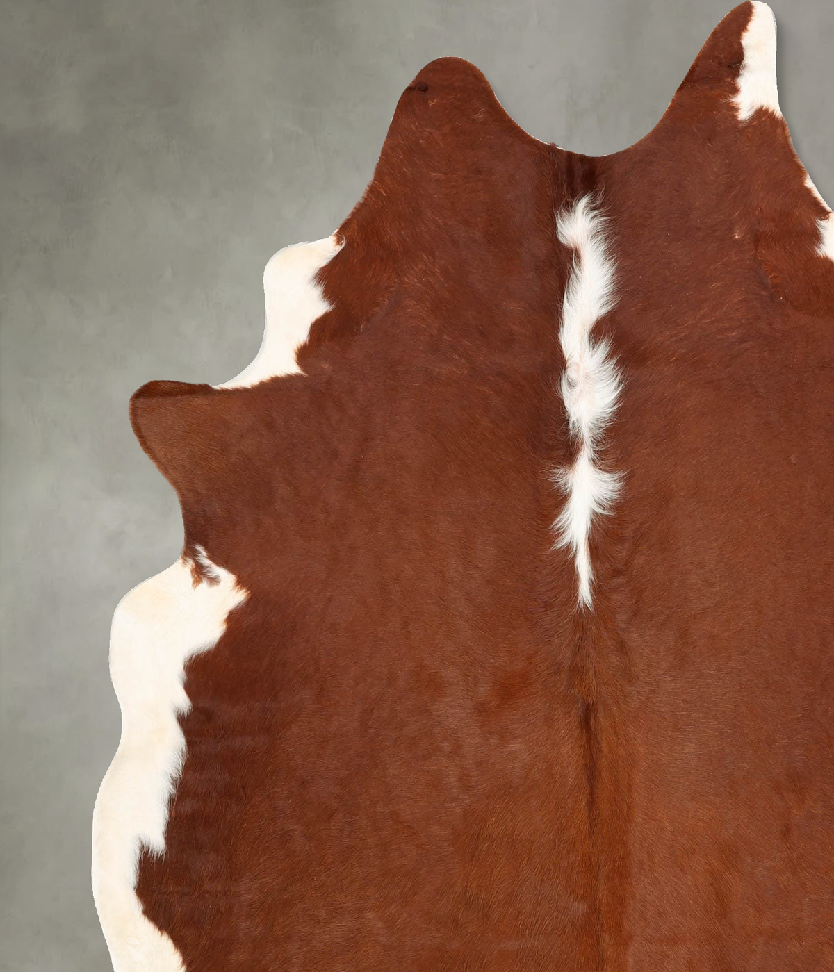 Hereford X-Large Brazilian Cowhide Rug 7'6"H x 6'6"W #B30504 by Hudson Hides