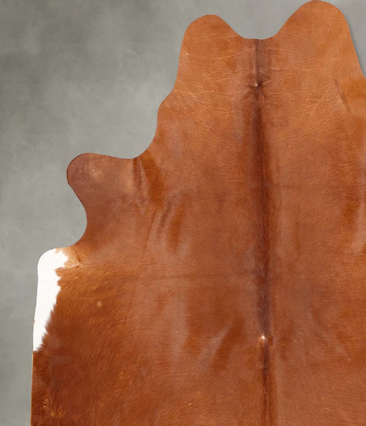 Solid Brown X-Large Brazilian Cowhide Rug 6'10"H x 6'1"W #B30513 by Hudson Hides