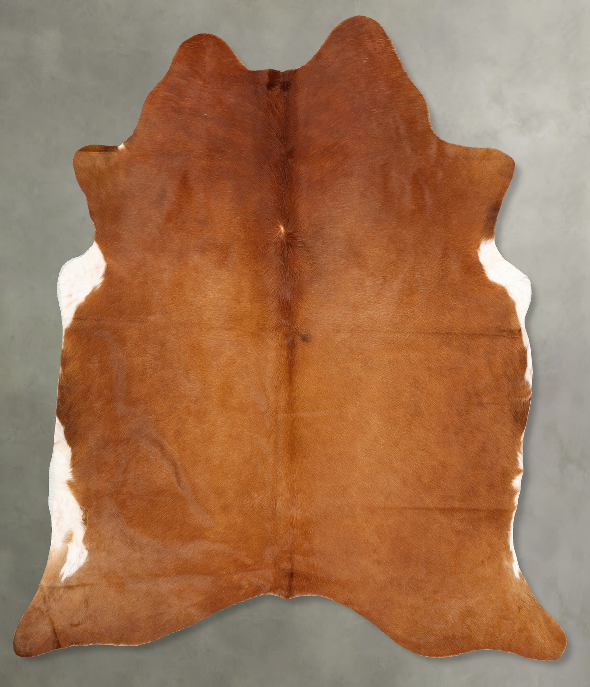Solid Brown Cowhide Rug #B30514