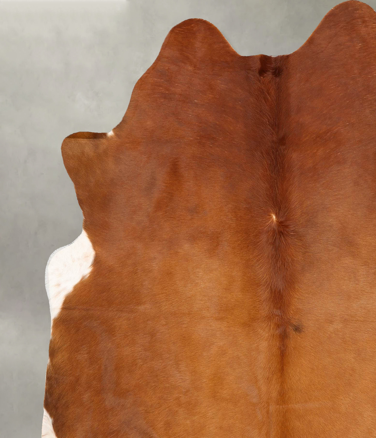 Solid Brown X-Large Brazilian Cowhide Rug 7'2"H x 6'1"W #B30514 by Hudson Hides