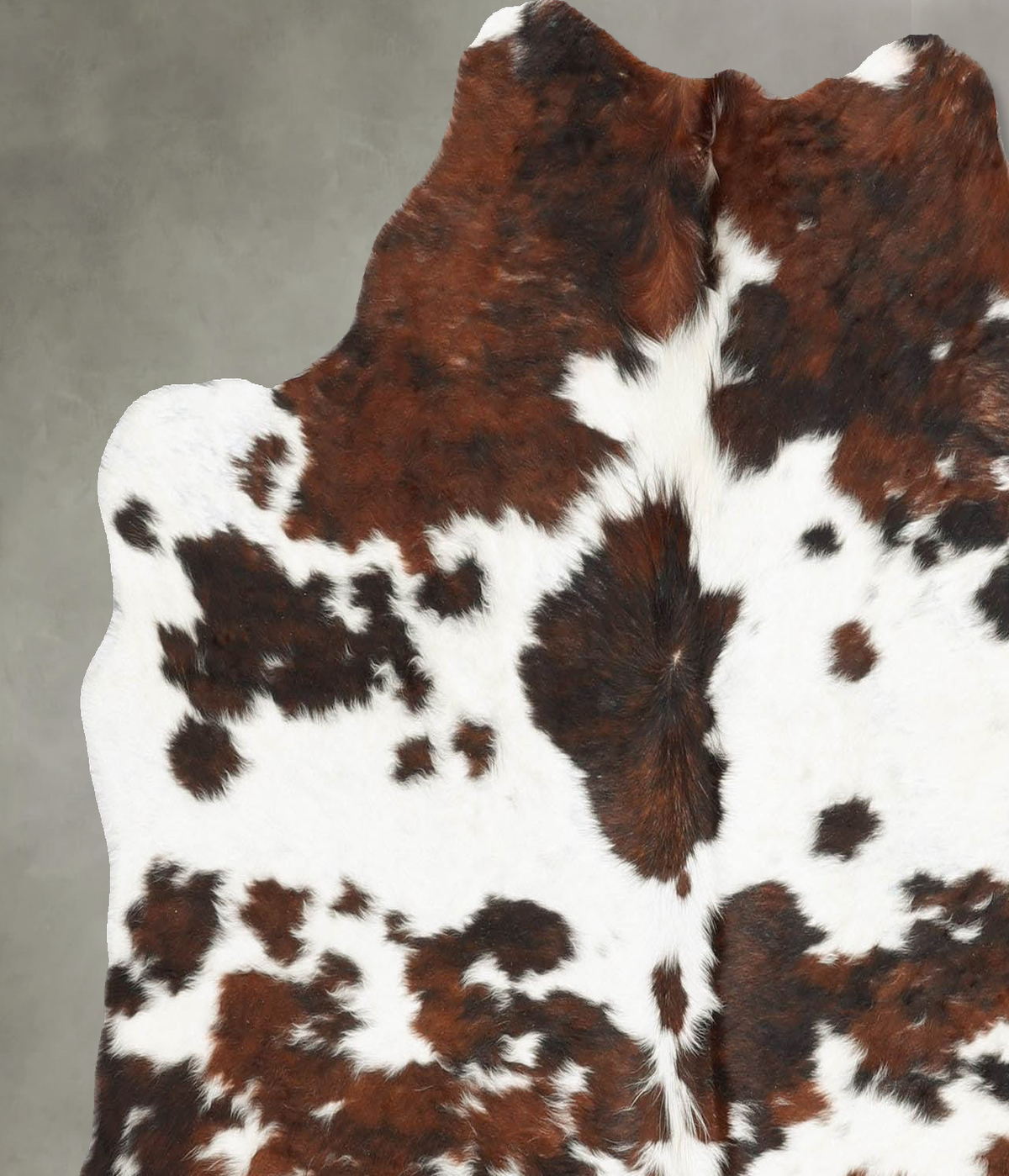 Tricolor Medium Brazilian Cowhide Rug 5'0"H x 5'0"W #B30524 by Hudson Hides