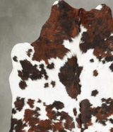 Tricolor Medium Brazilian Cowhide Rug 5'0"H x 5'0"W #B30524 by Hudson Hides