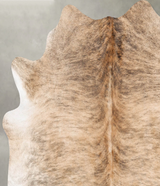 Light Brindle Large Brazilian Cowhide Rug 6'2"H x 6'2"W #B30528 by Hudson Hides
