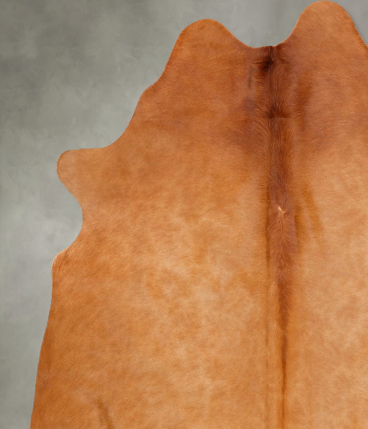 Solid Brown Large Brazilian Cowhide Rug 6'4"H x 5'5"W #B30539 by Hudson Hides