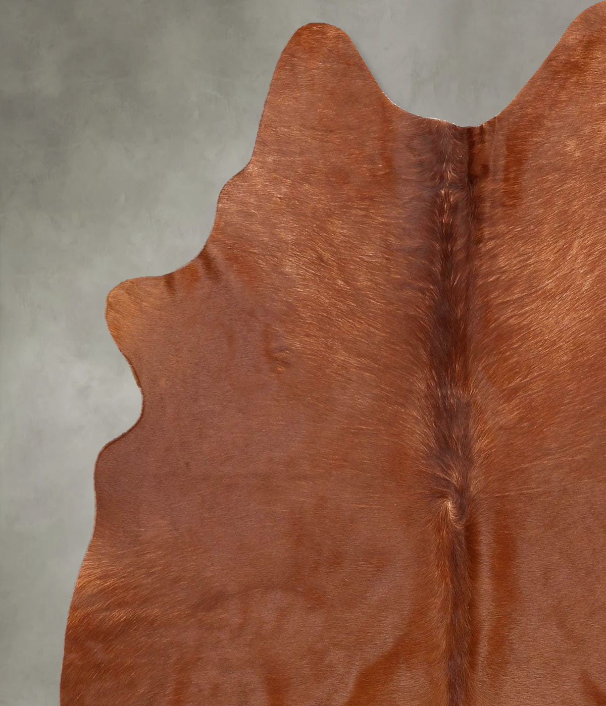 Solid Brown Large Brazilian Cowhide Rug 5'10"H x 5'1"W #B30540 by Hudson Hides