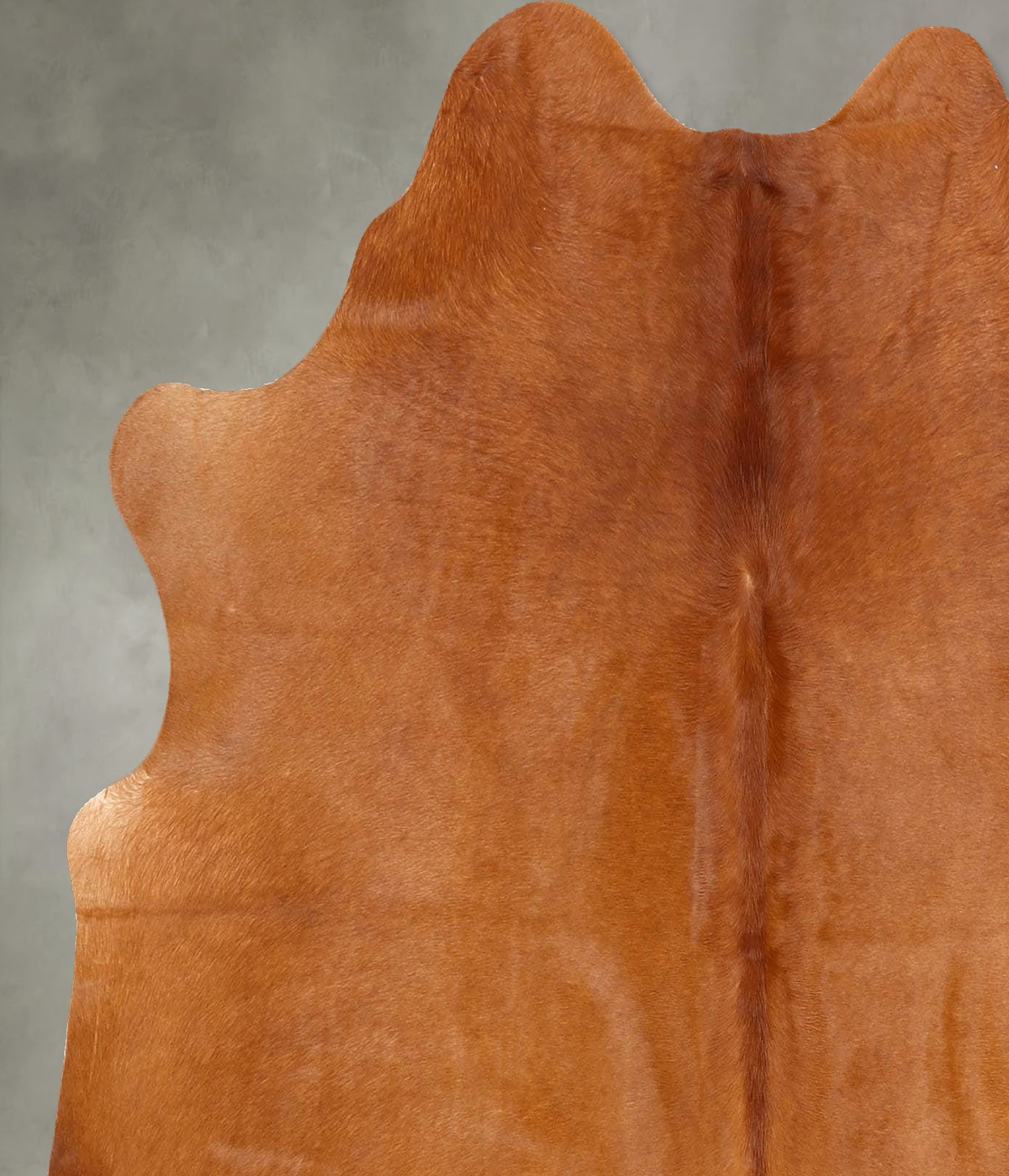 Solid Brown Medium Brazilian Cowhide Rug 5'5"H x 5'5"W #B30542 by Hudson Hides