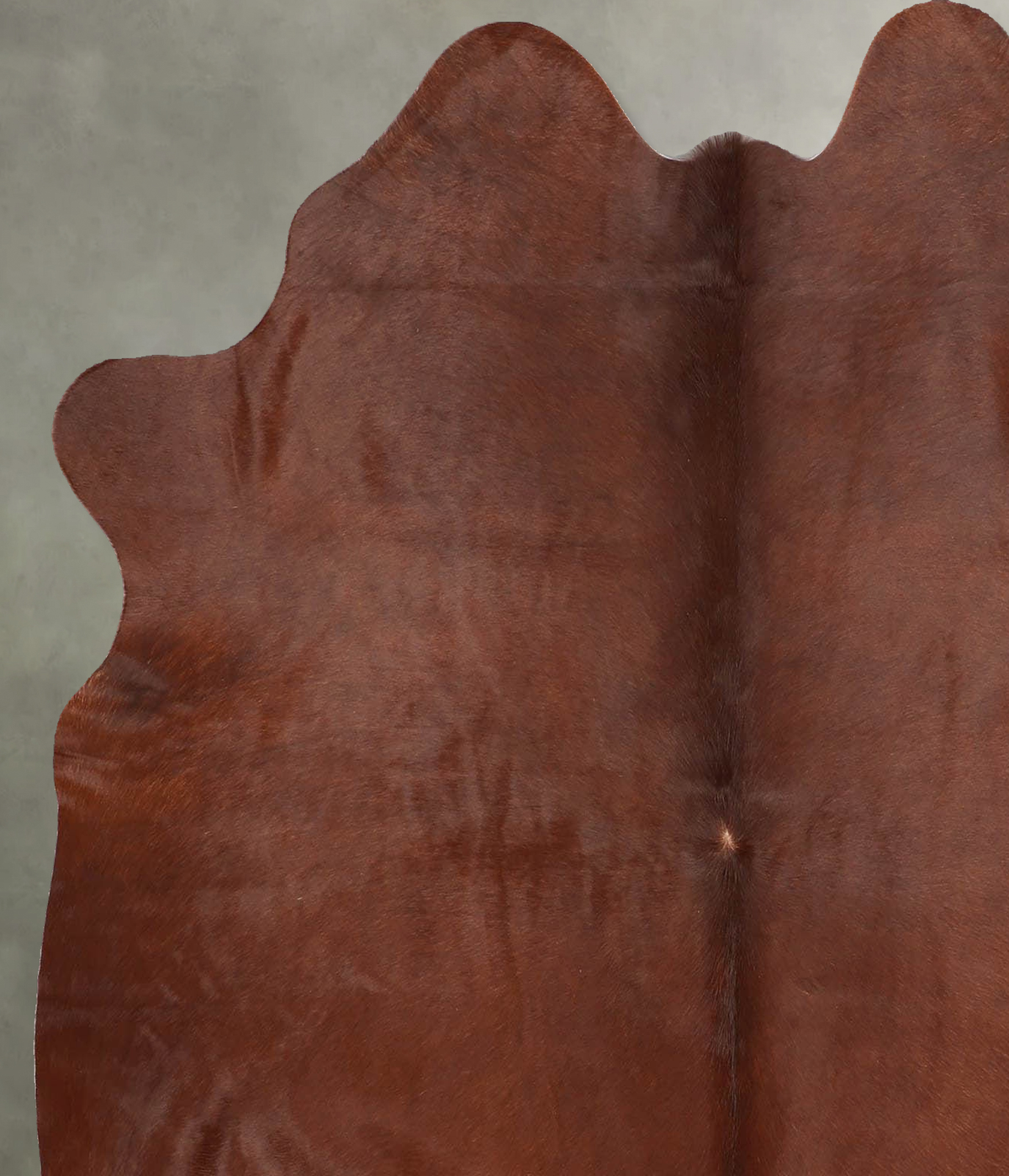 Solid Brown Large Brazilian Cowhide Rug 6'0"H x 5'3"W #B30543 by Hudson Hides