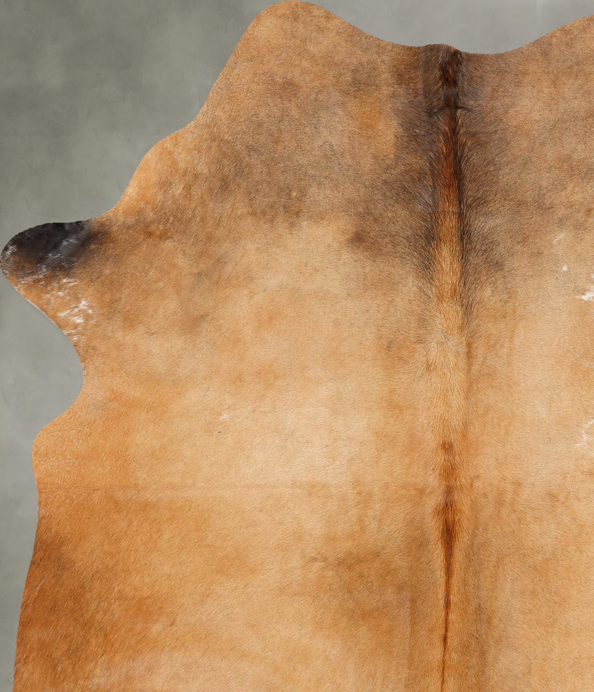 Solid Brown Large Brazilian Cowhide Rug 6'10"H x 4'10"W #B30545 by Hudson Hides