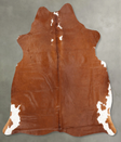 Brown and White Regular Large Brazilian Cowhide Rug 5'11"H x 5'3"W #B30546 by Hudson Hides