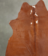Brown and White Regular Large Brazilian Cowhide Rug 5'11"H x 5'3"W #B30546 by Hudson Hides