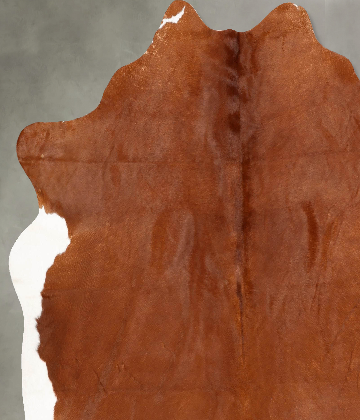 Solid Brown X-Large Brazilian Cowhide Rug 7'1"H x 6'3"W #B30548 by Hudson Hides
