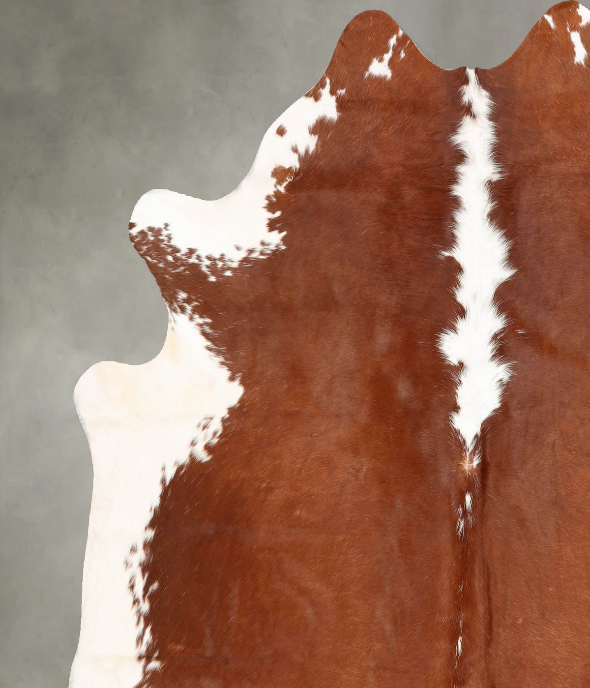 Hereford X-Large Brazilian Cowhide Rug 7'1"H x 6'1"W #B30552 by Hudson Hides