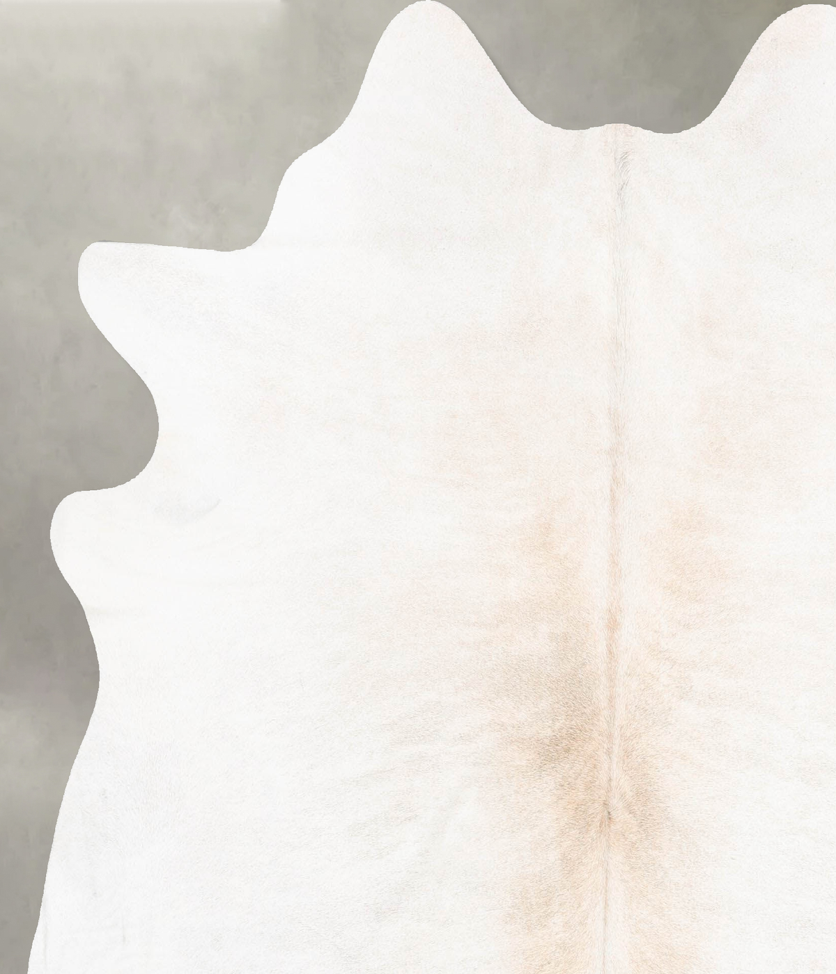 Ivory with Beige X-Large Brazilian Cowhide Rug 7'0"H x 6'6"W #B30560 by Hudson Hides