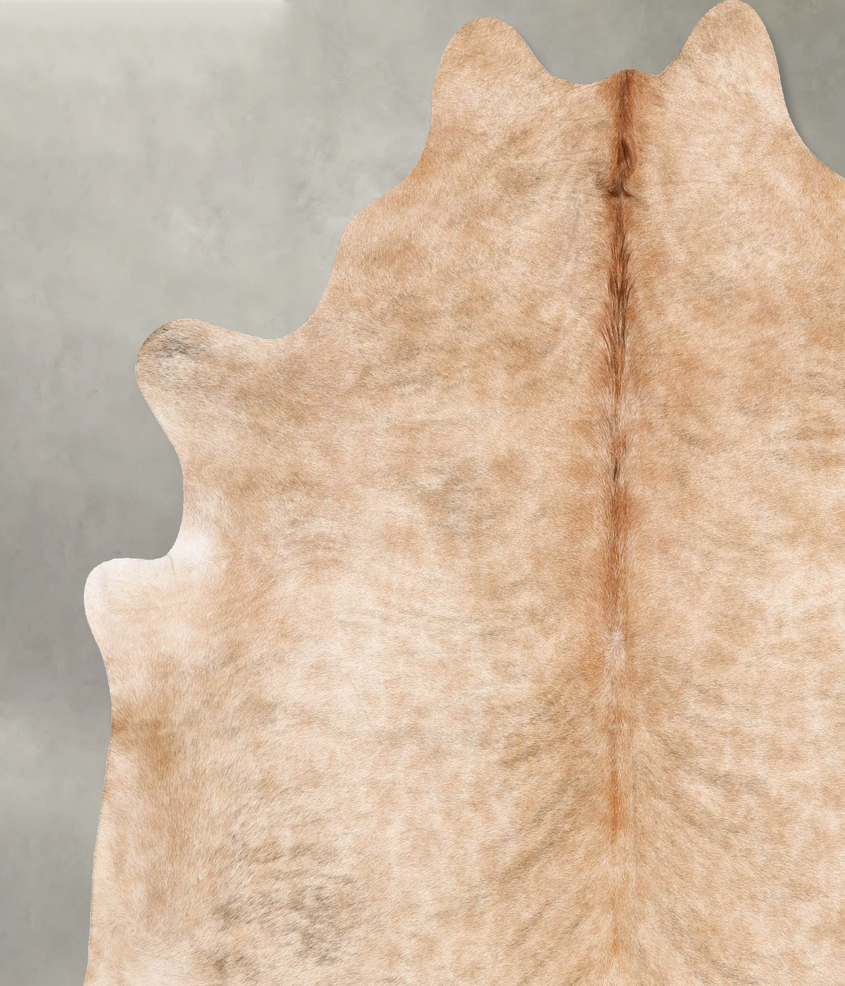 Light Brindle XX-Large Brazilian Cowhide Rug 7'6"H x 7'0"W #B30562 by Hudson Hides