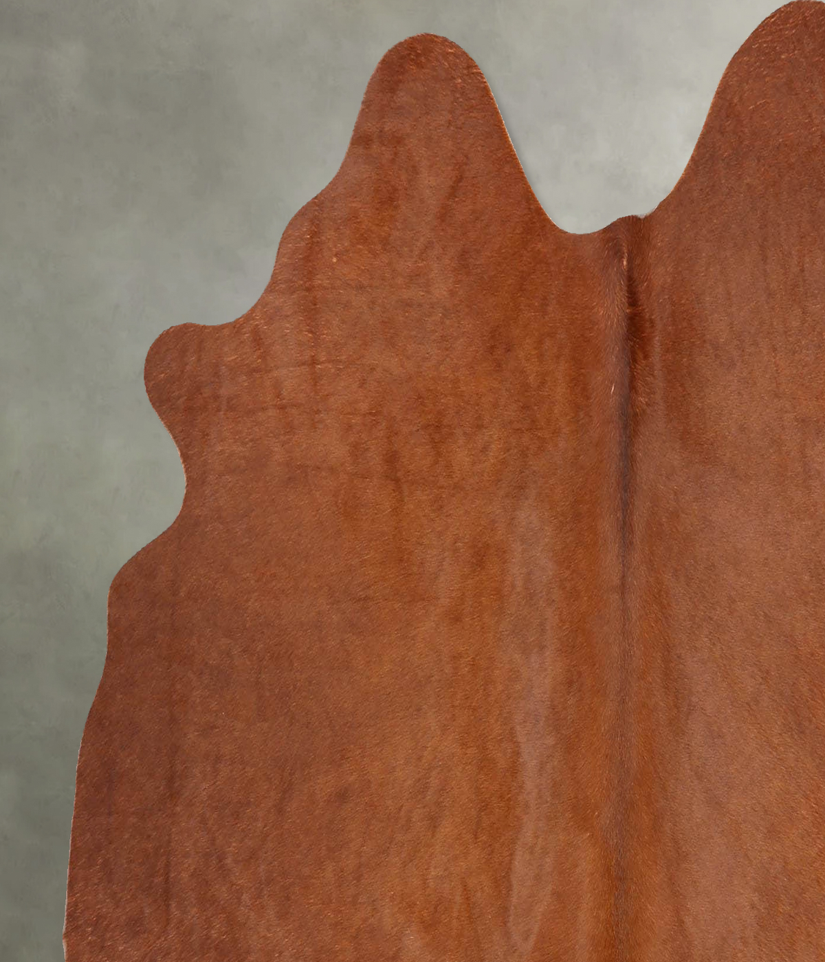 Solid Brown Large Brazilian Cowhide Rug 5'7"H x 5'6"W #B30564 by Hudson Hides