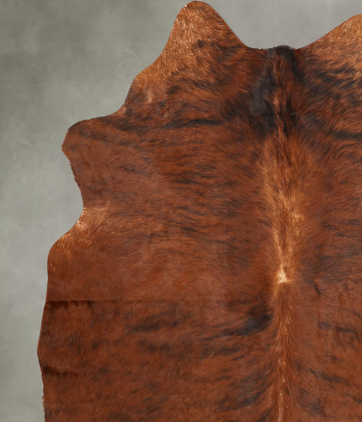 Medium Brindle Large Brazilian Cowhide Rug 6'4"H x 5'2"W #B30565 by Hudson Hides