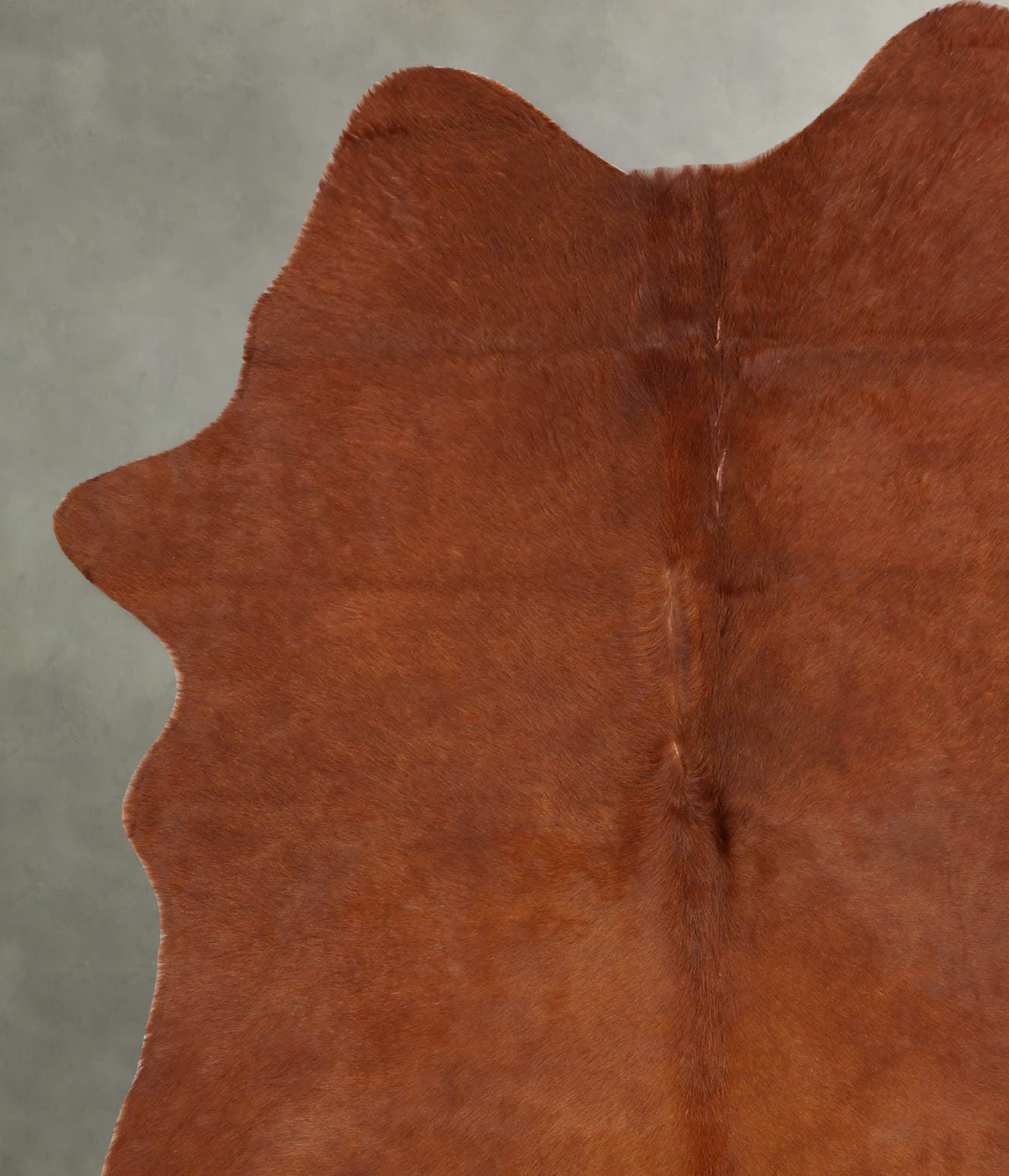Solid Brown Large Brazilian Cowhide Rug 6'10"H x 5'2"W #B30566 by Hudson Hides