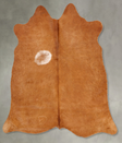 Solid Brown Large Brazilian Cowhide Rug 5'7"H x 5'6"W #B30567 by Hudson Hides