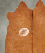 Solid Brown Large Brazilian Cowhide Rug 5'7"H x 5'6"W #B30567 by Hudson Hides