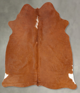 Brown and White Regular Medium Brazilian Cowhide Rug 5'10"H x 4'11"W #B30575 by Hudson Hides