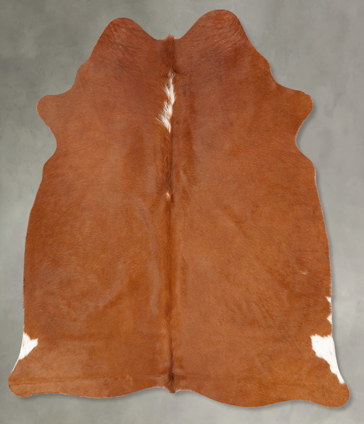 Brown and White Regular Cowhide Rug #B30575
