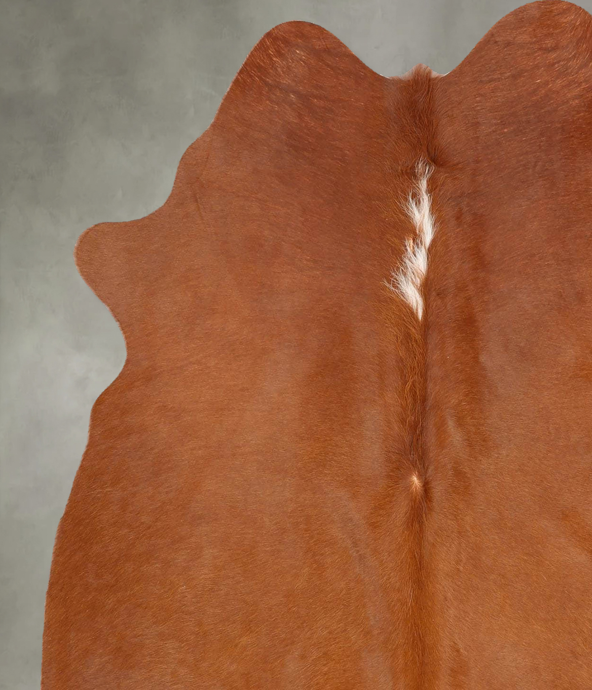 Brown and White Regular Medium Brazilian Cowhide Rug 5'10"H x 4'11"W #B30575 by Hudson Hides