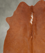 Brown and White Regular Medium Brazilian Cowhide Rug 5'10"H x 4'11"W #B30575 by Hudson Hides
