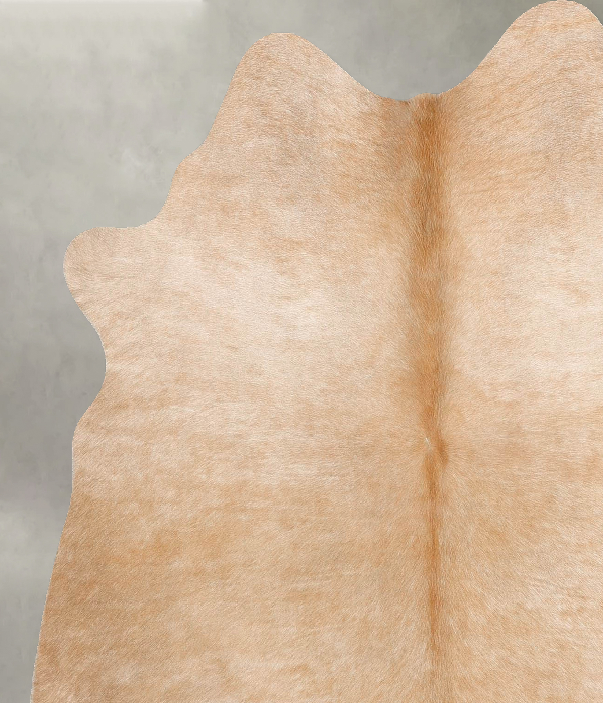 Light Caramel Medium Brazilian Cowhide Rug 5'7"H x 5'1"W #B30577 by Hudson Hides