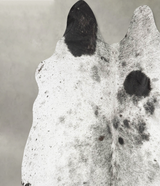Salt and Pepper Black Large Brazilian Cowhide Rug 5'3"H x 5'11"W #B30581 by Hudson Hides