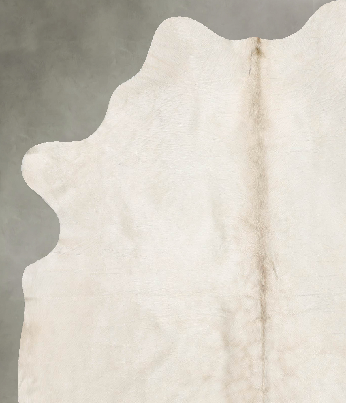 Champagne Large Brazilian Cowhide Rug 6'6"H x 5'5"W #B30590 by Hudson Hides