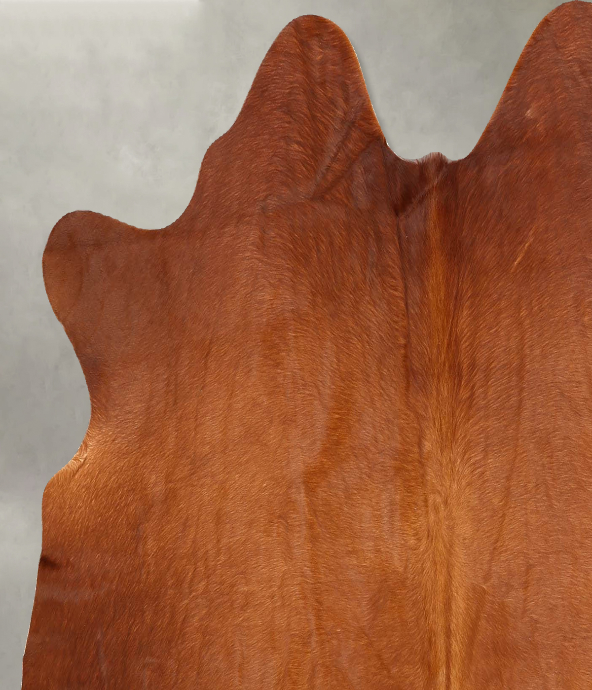 Solid Brown Medium Brazilian Cowhide Rug 5'0"H x 5'6"W #B30598 by Hudson Hides