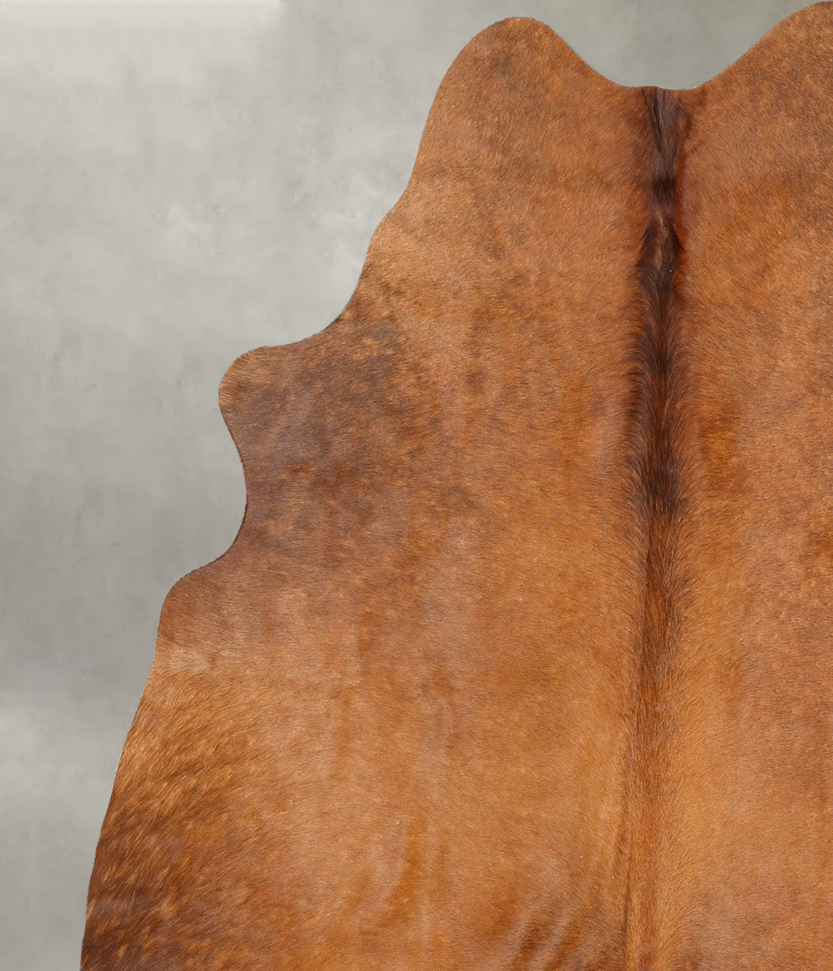 Solid Brown Medium Brazilian Cowhide Rug 5'7"H x 5'3"W #B30599 by Hudson Hides