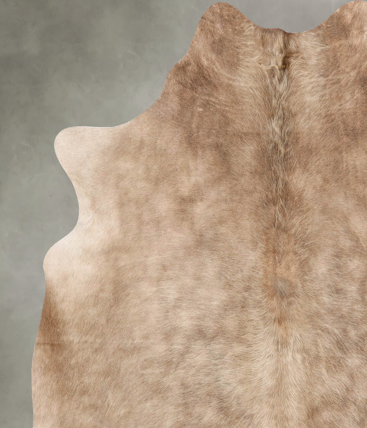 Taupe Large Brazilian Cowhide Rug 6'8"H x 5'6"W #B30600 by Hudson Hides