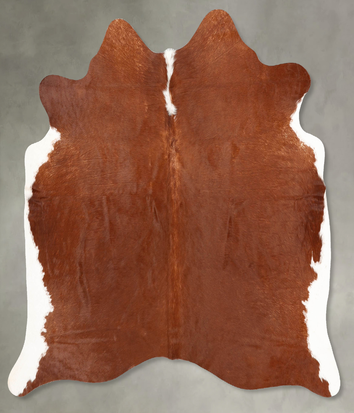 Brown and White Regular Cowhide Rug #B30601