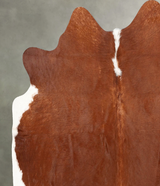 Brown and White Regular Large Brazilian Cowhide Rug 5'10"H x 5'9"W #B30601 by Hudson Hides
