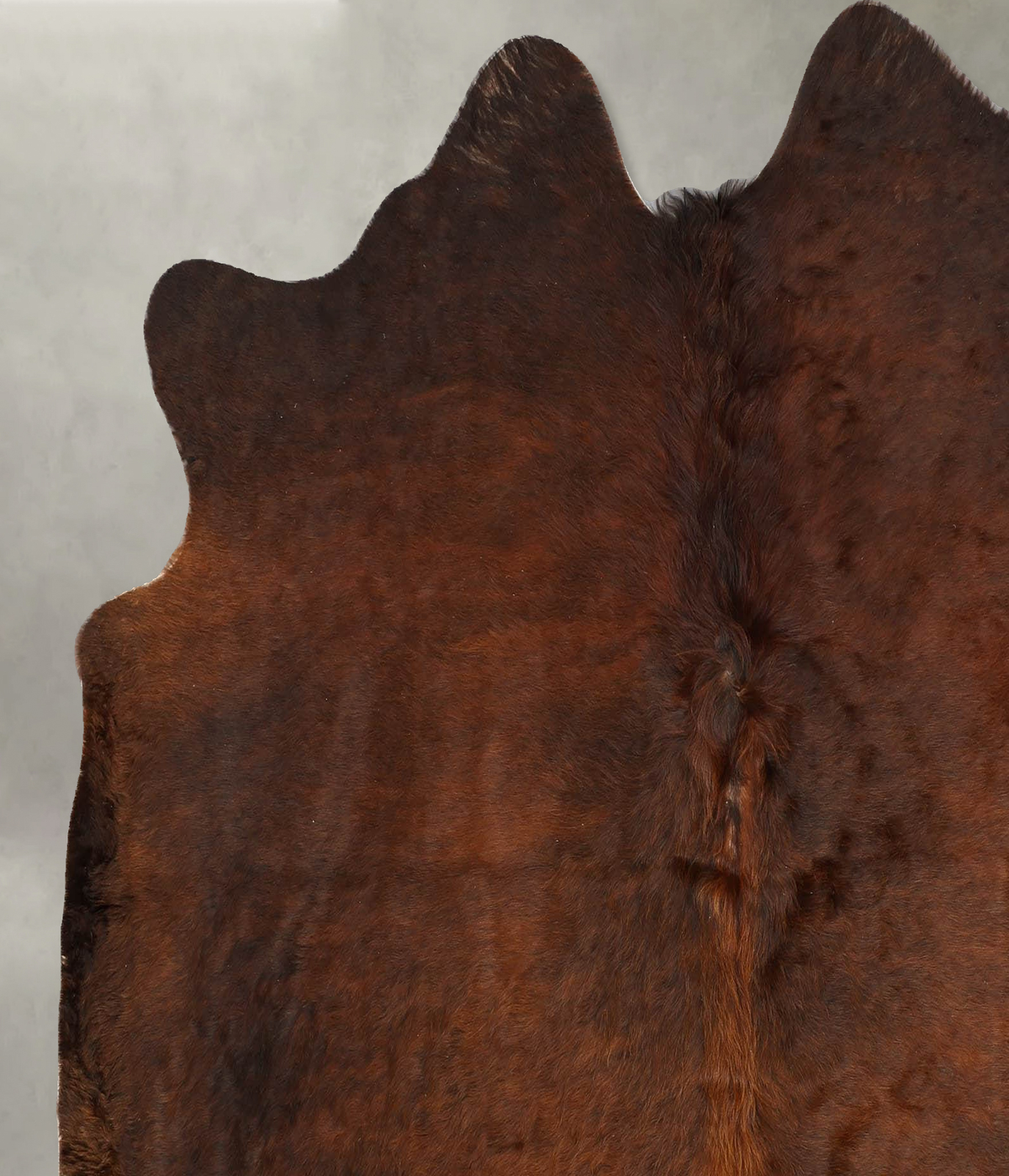 Warm Caramel Large Brazilian Cowhide Rug 6'5"H x 6'2"W #B30602 by Hudson Hides