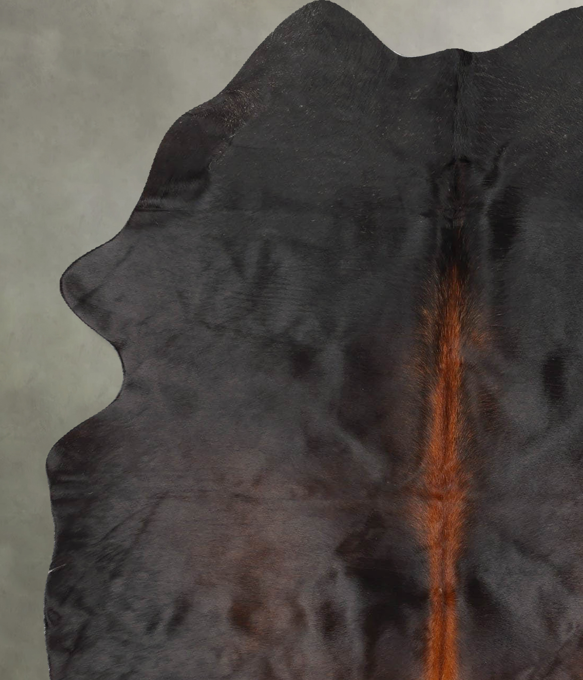 Chocolate Medium Brazilian Cowhide Rug 6'2"H x 4'4"W #B30627 by Hudson Hides