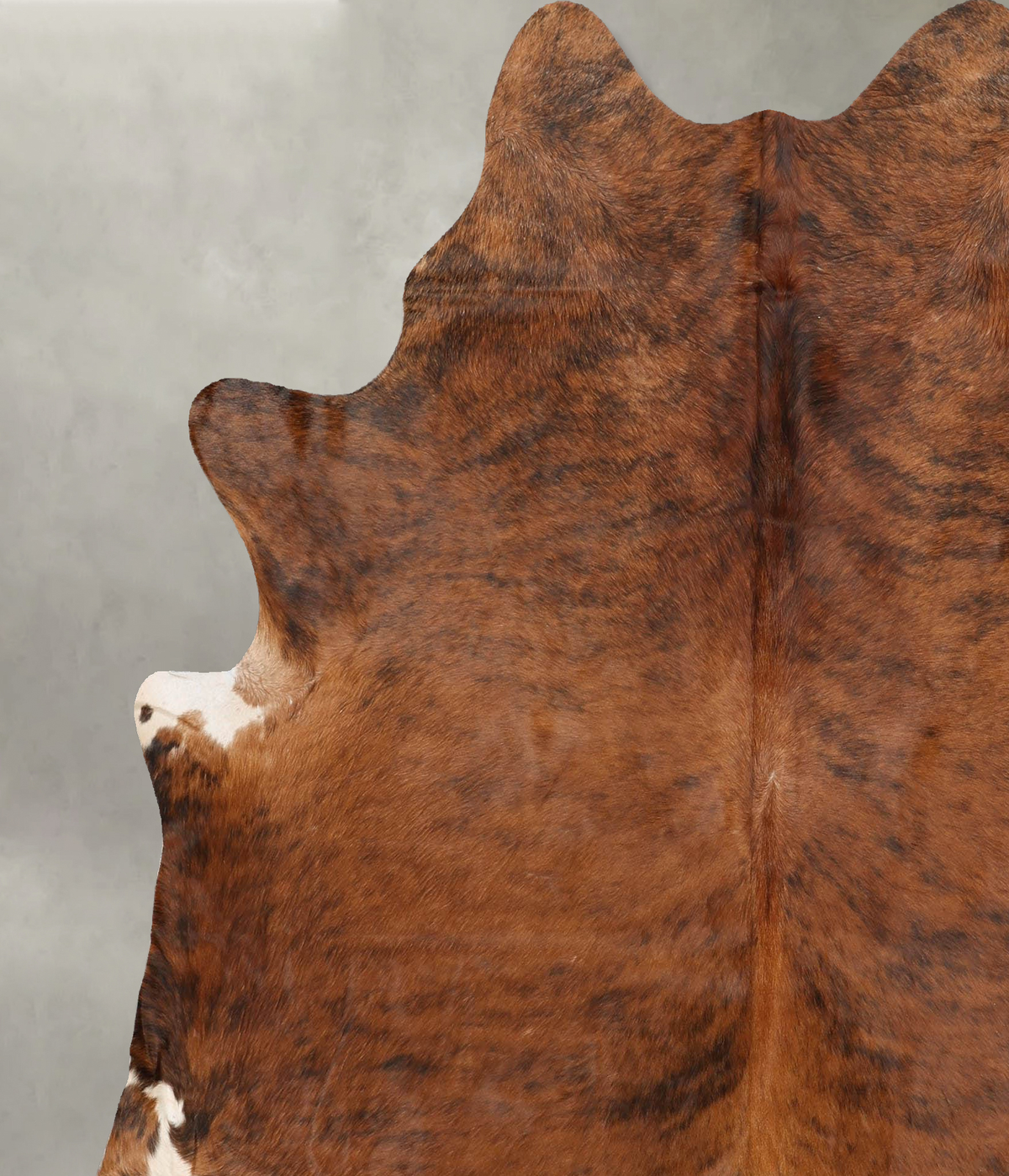 Medium Brindle X-Large Brazilian Cowhide Rug 7'1"H x 6'6"W #B30630 by Hudson Hides