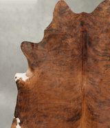 Medium Brindle X-Large Brazilian Cowhide Rug 7'1"H x 6'6"W #B30630 by Hudson Hides