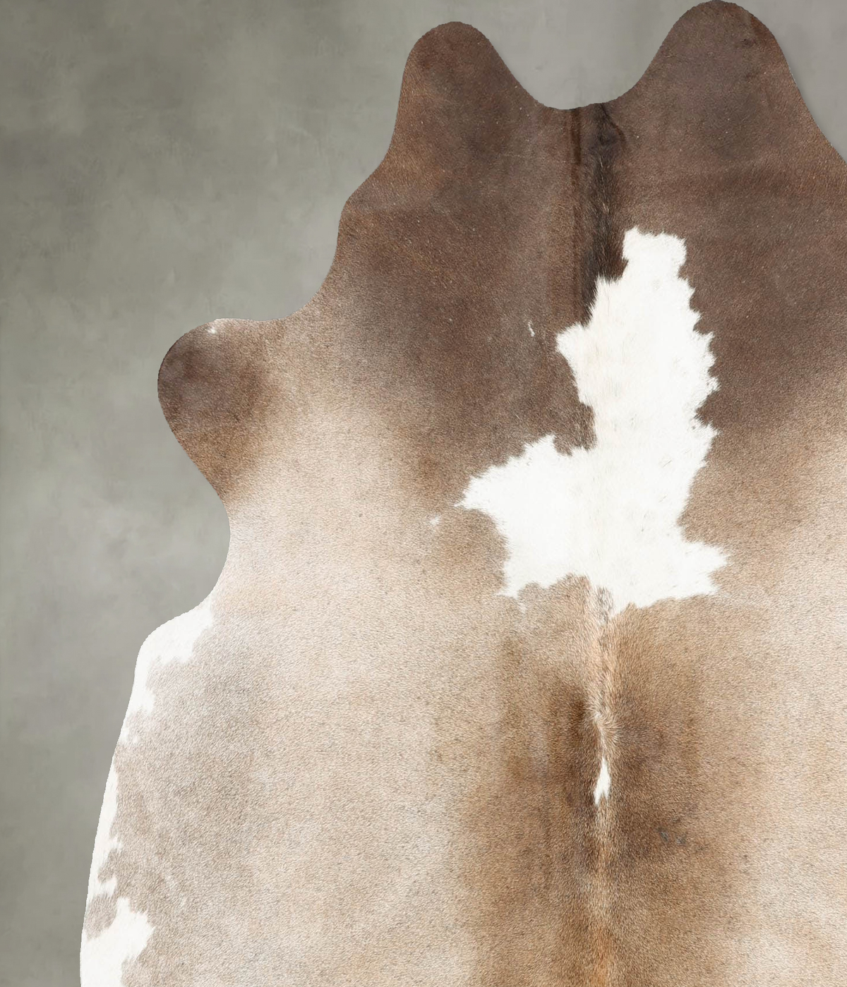 Chocolate and White Large Brazilian Cowhide Rug 6'5"H x 5'8"W #B30631 by Hudson Hides