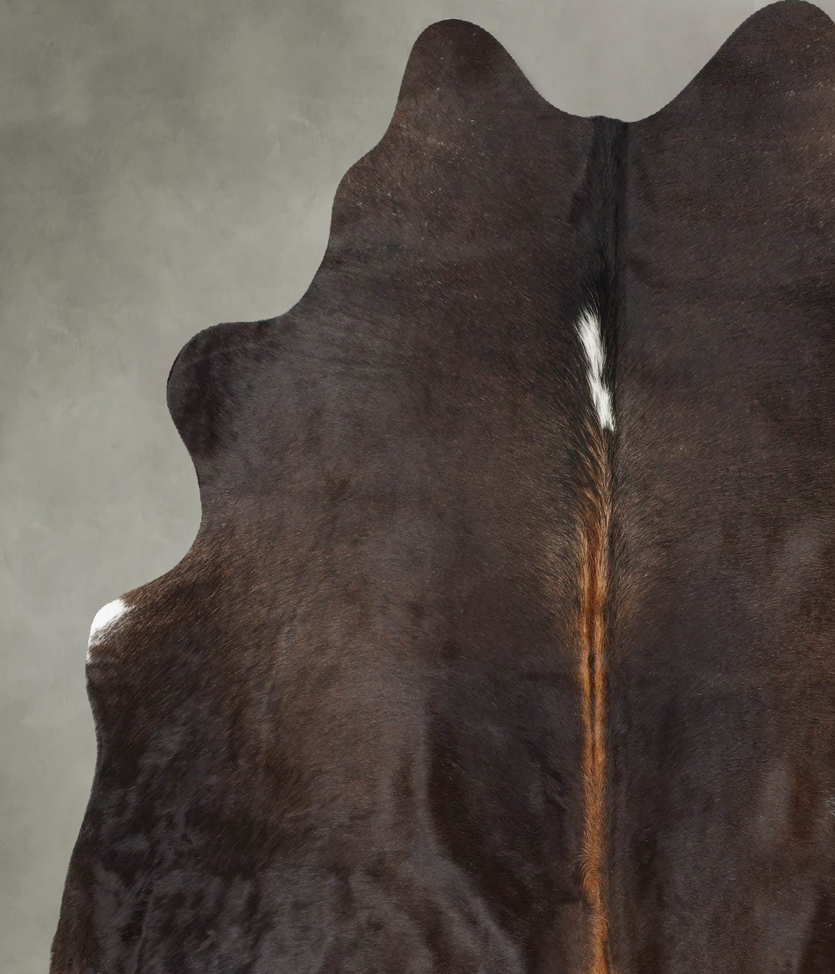 Chocolate Large Brazilian Cowhide Rug 6'6"H x 5'8"W #B30632 by Hudson Hides