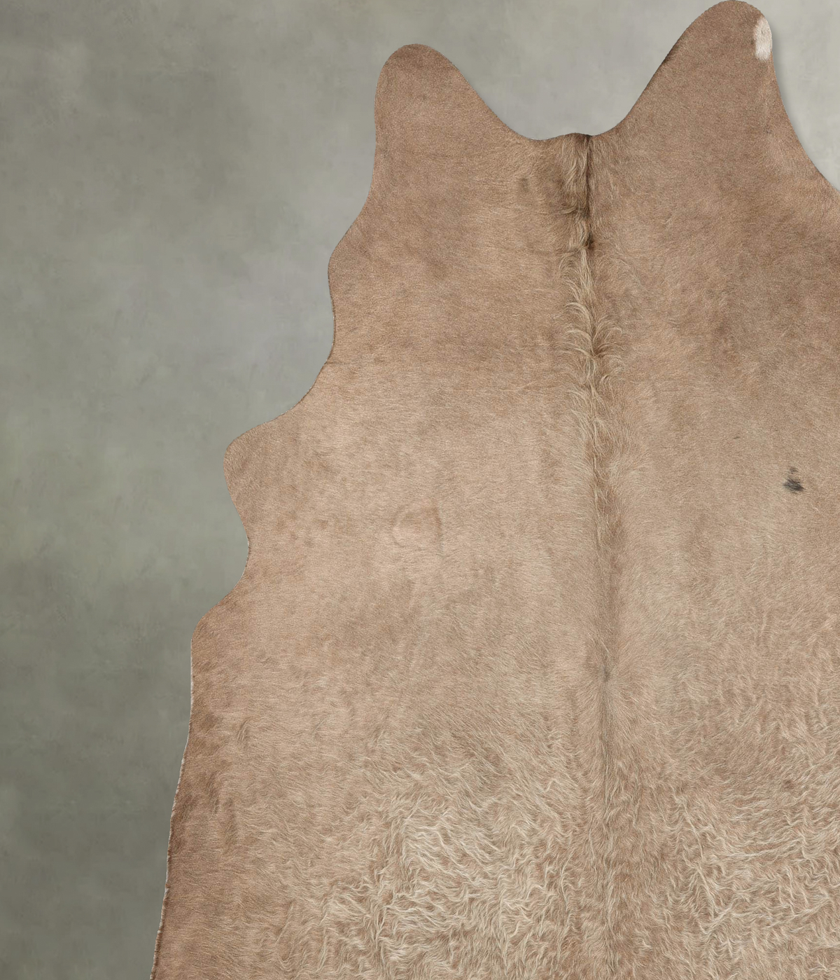 Taupe XX-Large Brazilian Cowhide Rug 7'10"H x 6'9"W #B30633 by Hudson Hides