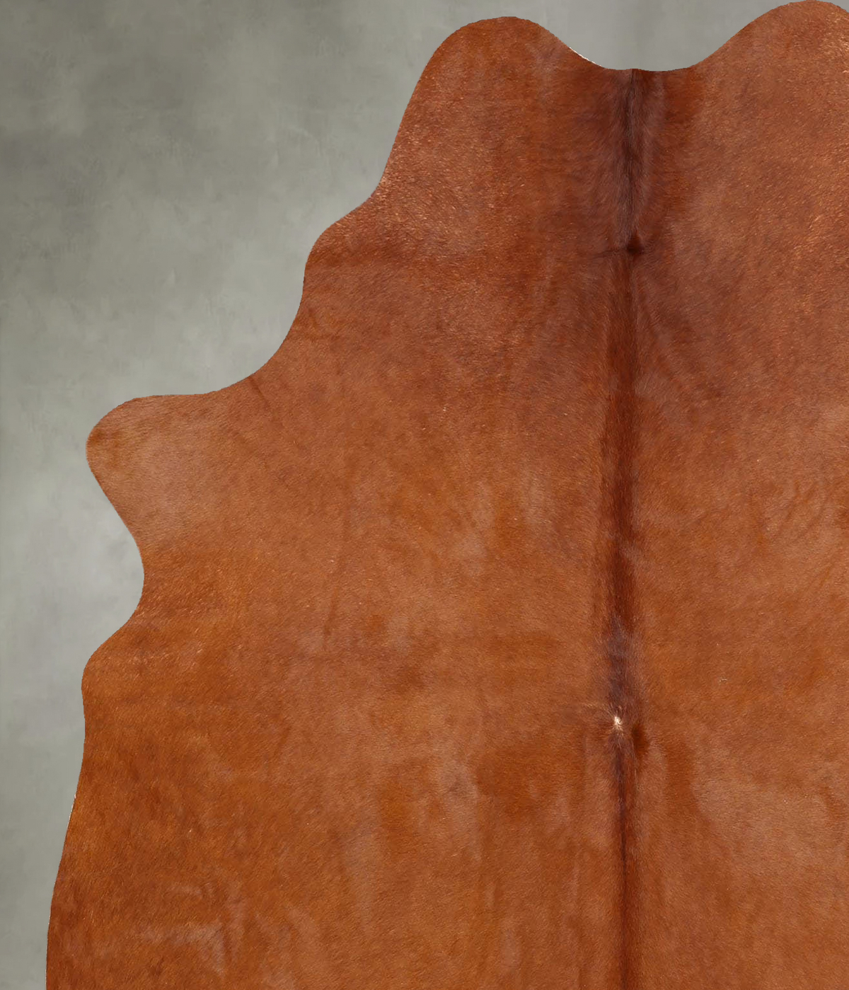 Solid Brown Large Brazilian Cowhide Rug 6'7"H x 5'2"W #B30640 by Hudson Hides