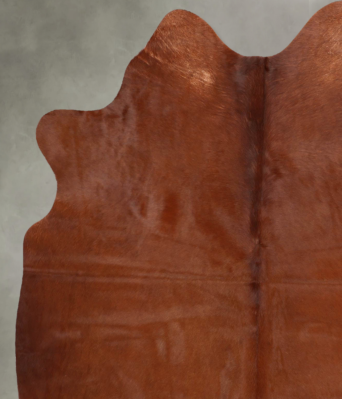 Solid Brown Large Brazilian Cowhide Rug 6'7"H x 5'2"W #B30641 by Hudson Hides